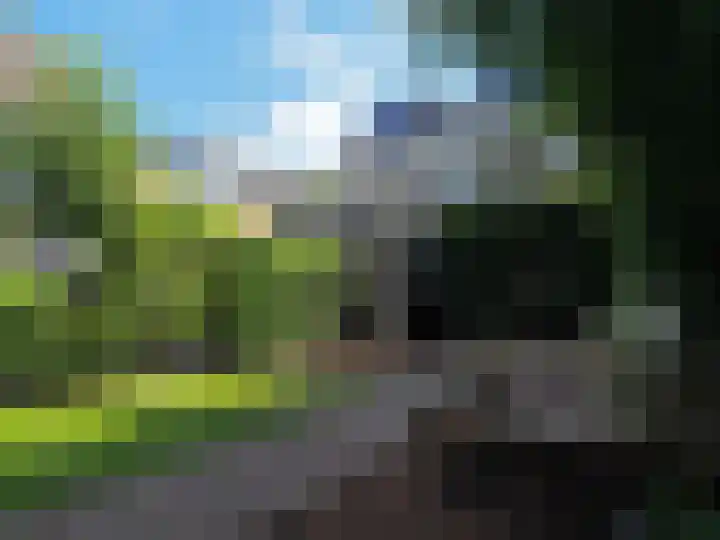 Bosch 42 Papendrecht thumbnail 68