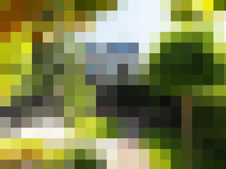 Bosch 42 Papendrecht thumbnail 69