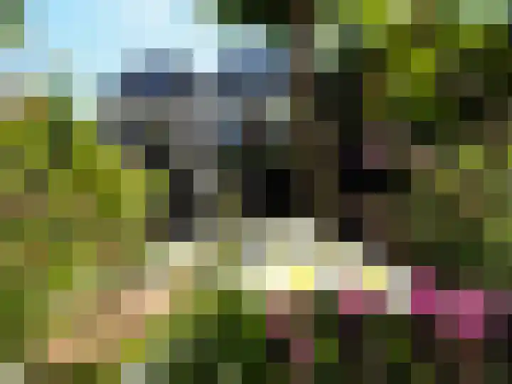 Bosch 42 Papendrecht thumbnail 79