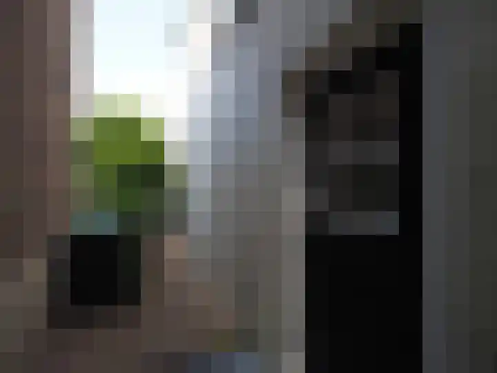 Bosch 42 Papendrecht thumbnail 82
