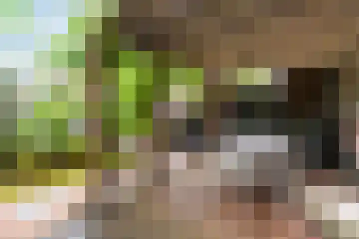 Bosch 46 Papendrecht thumbnail 34