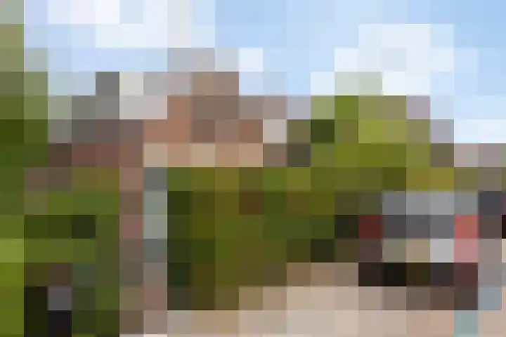 Bosch 46 Papendrecht thumbnail 47