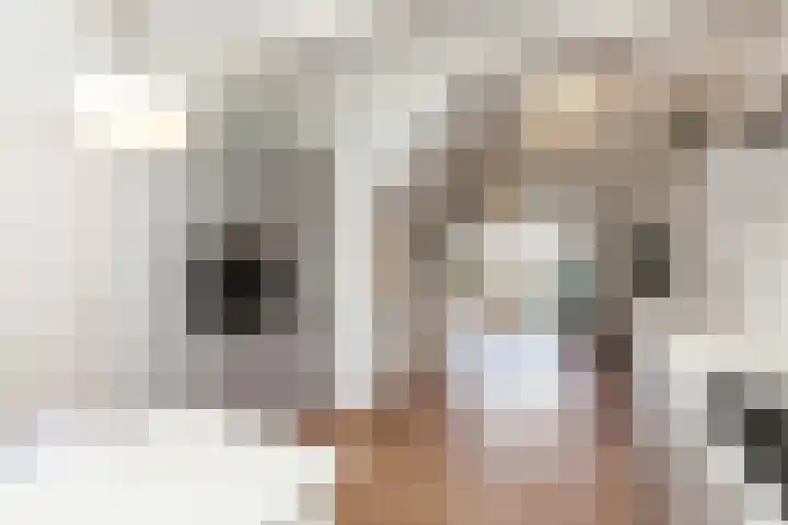 Bosch 46 Papendrecht thumbnail 6