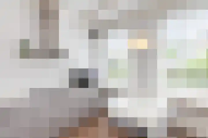 Bosch 46 Papendrecht thumbnail 9