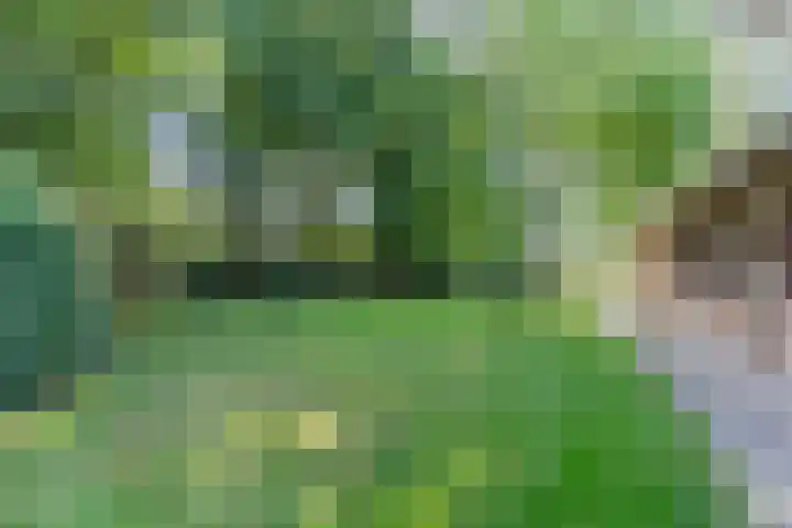 Boschdijk 18 Budel thumbnail 42