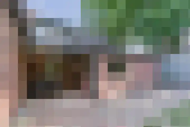 Boschdijk 18 Budel thumbnail 43