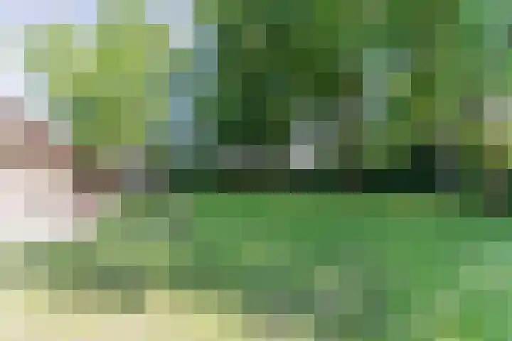 Boschdijk 18 Budel thumbnail 47
