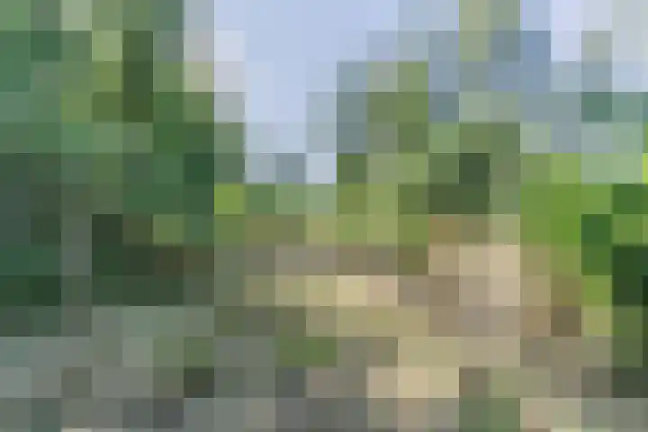 Boschdijk 18 Budel thumbnail 48