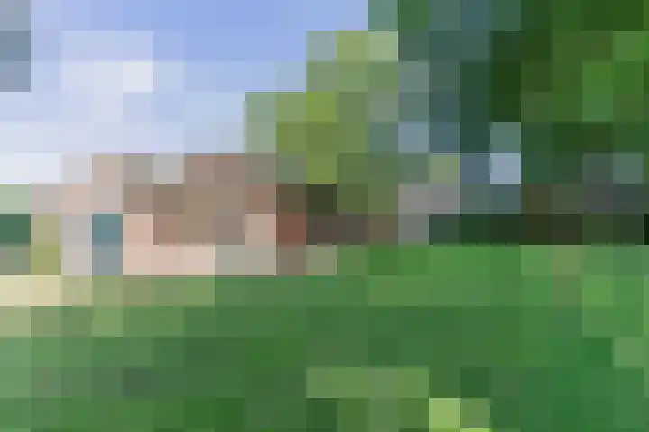 Boschdijk 18 Budel thumbnail 52