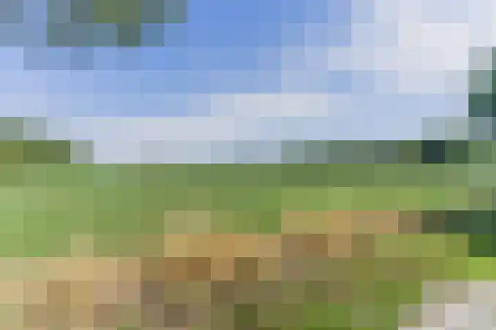 Boschdijk 18 Budel thumbnail 59