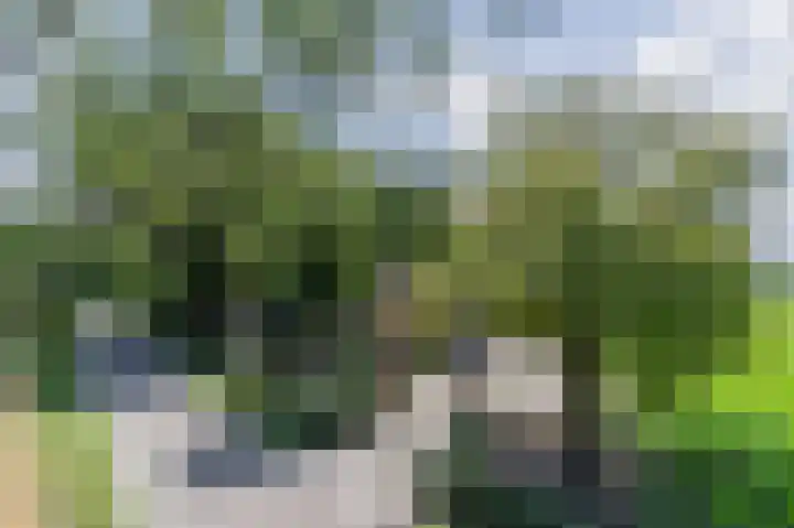 Boschdijk 18 Budel thumbnail 60
