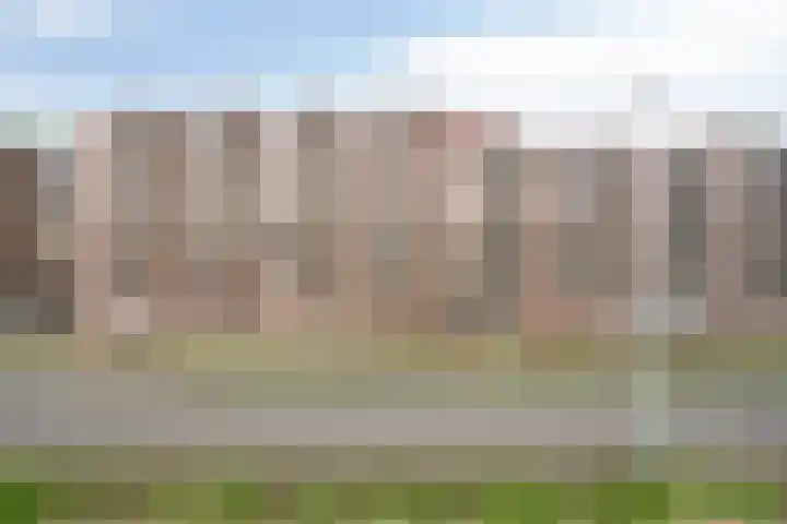 Boschdijk 199 Eindhoven thumbnail 32