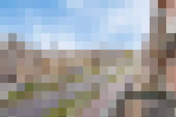 Boschdijk 201 Eindhoven thumbnail 20