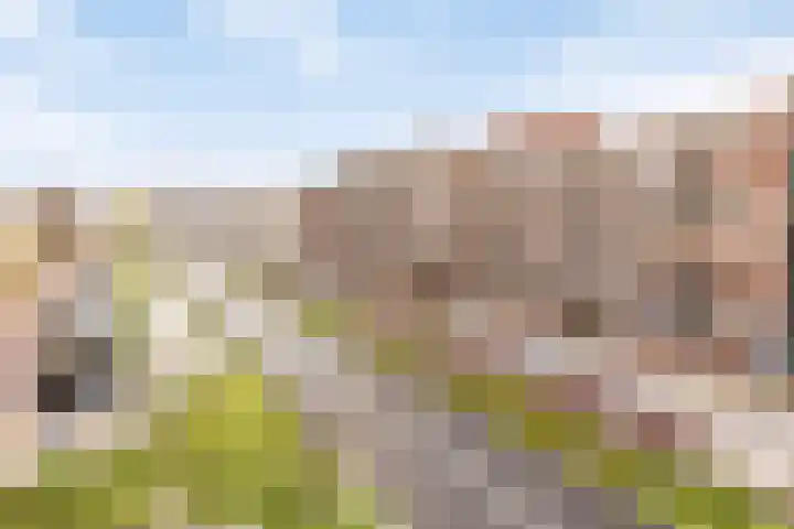 Boschdijk 201 Eindhoven thumbnail 31