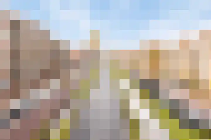 Boschdijk 201 Eindhoven thumbnail 33