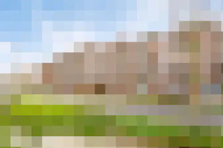 Boschdijk 201 Eindhoven thumbnail 34
