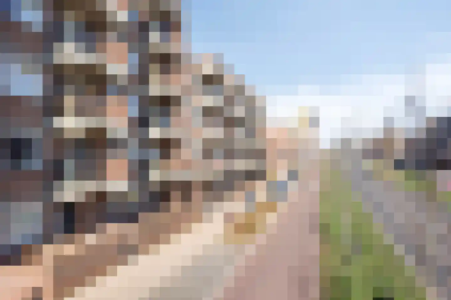 Boschdijk 207 Eindhoven thumbnail 11