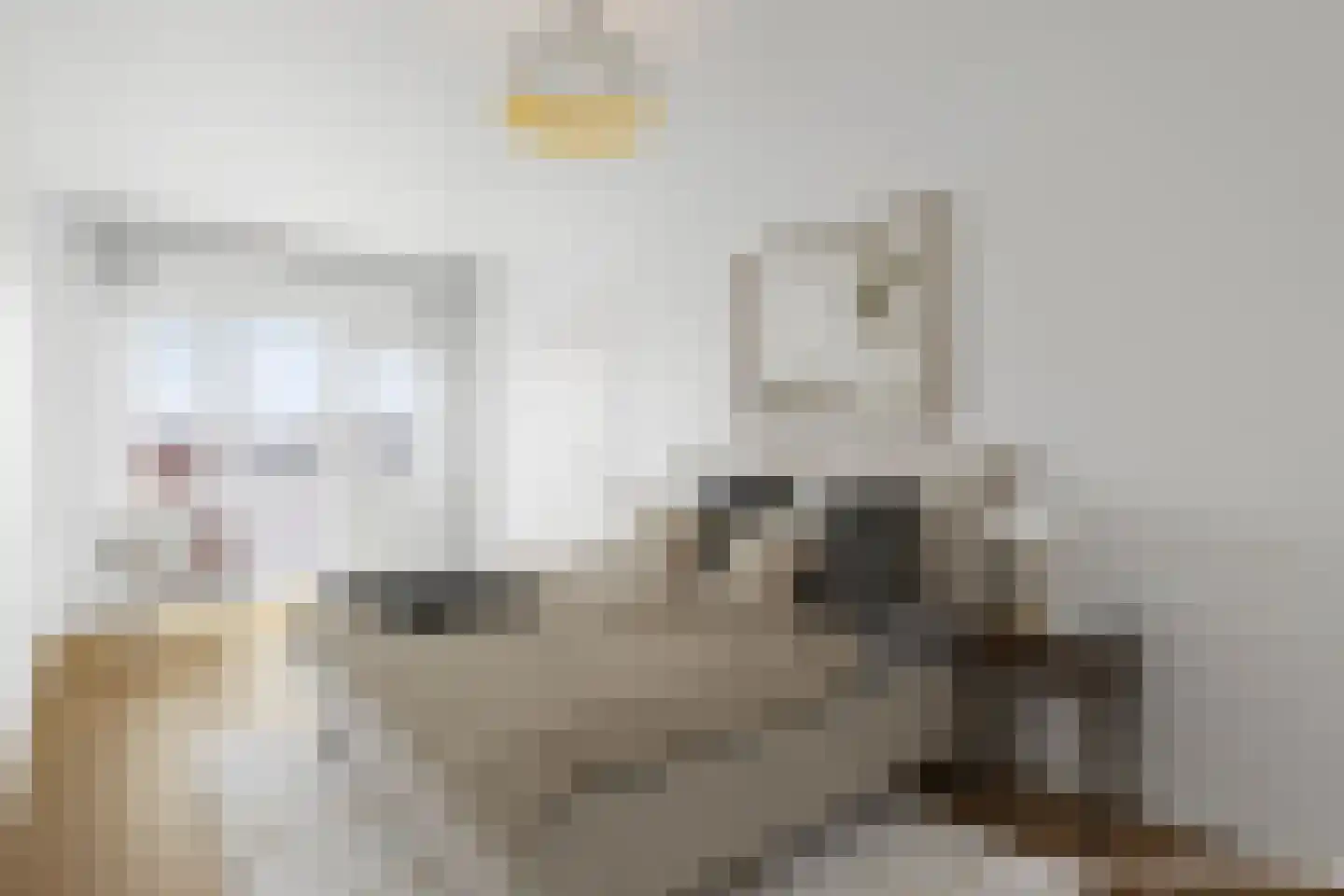 Boschdijk 207 Eindhoven thumbnail 6