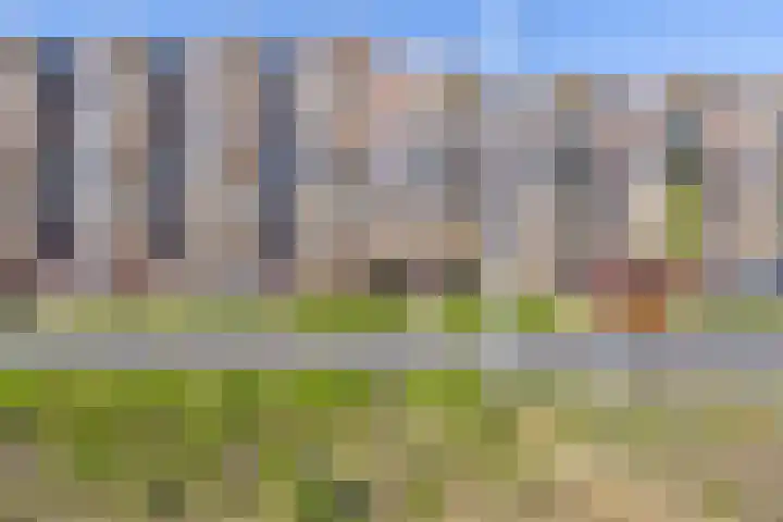 Boschdijk 209 B Eindhoven thumbnail 8