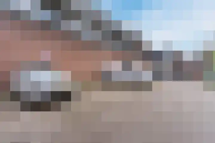 Boschdijk 243 B Eindhoven thumbnail 23