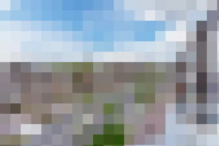 Boschdijk 243 B Eindhoven thumbnail 5