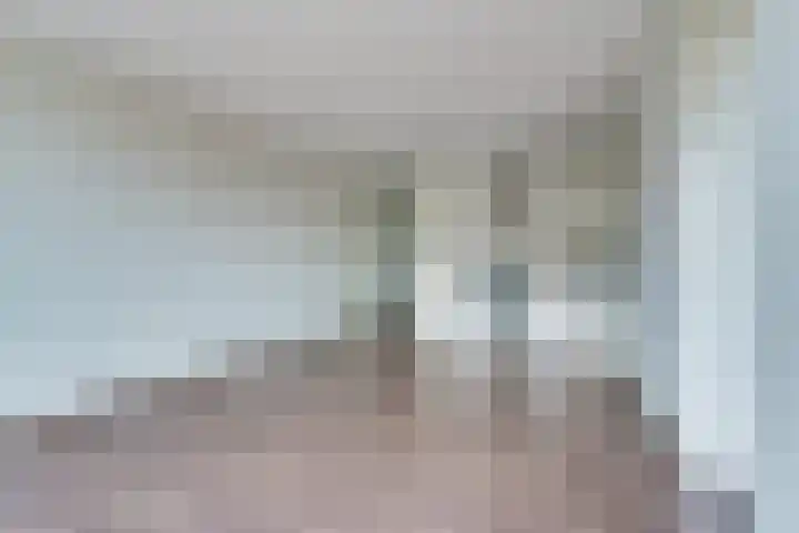 Boschdijk 383 25 Eindhoven thumbnail 21