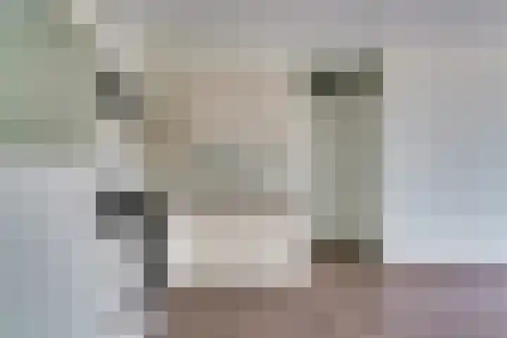 Boschdijk 383 25 Eindhoven thumbnail 25