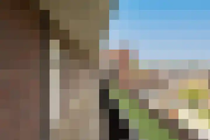 Boschdijk 383 25 Eindhoven thumbnail 5