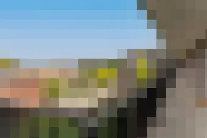 Boschdijk 383 25 Eindhoven thumbnail 7