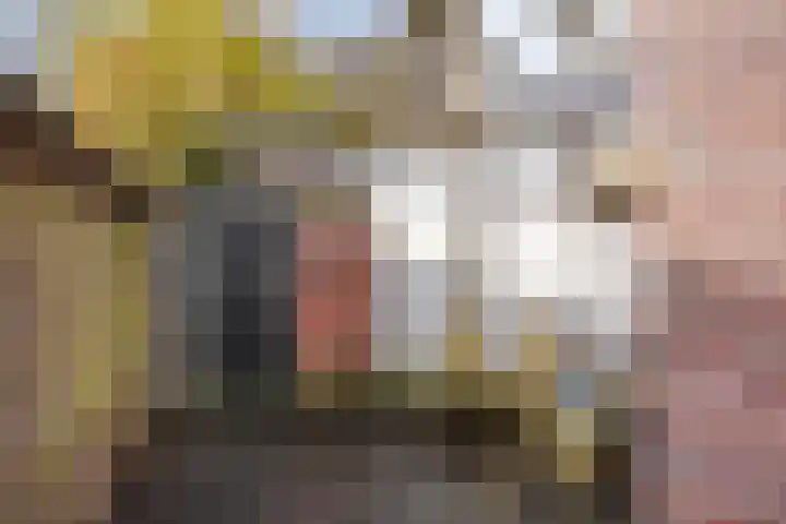 Boschdijk 387 Eindhoven thumbnail 32