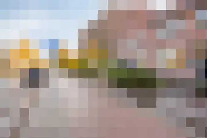 Boschdijk 387 Eindhoven thumbnail 7