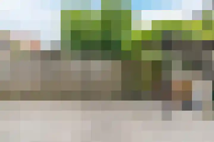 Boschdijk 450 Eindhoven thumbnail 37