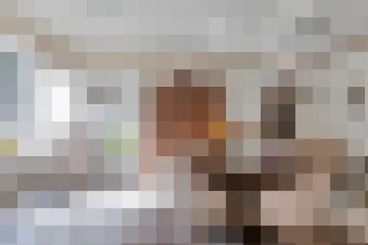 Boschdijk 590 Eindhoven thumbnail 16