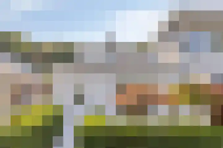 Boschdijk 590 Eindhoven thumbnail 32