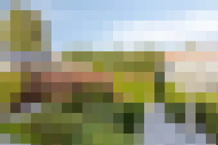 Boschdijk 590 Eindhoven thumbnail 34