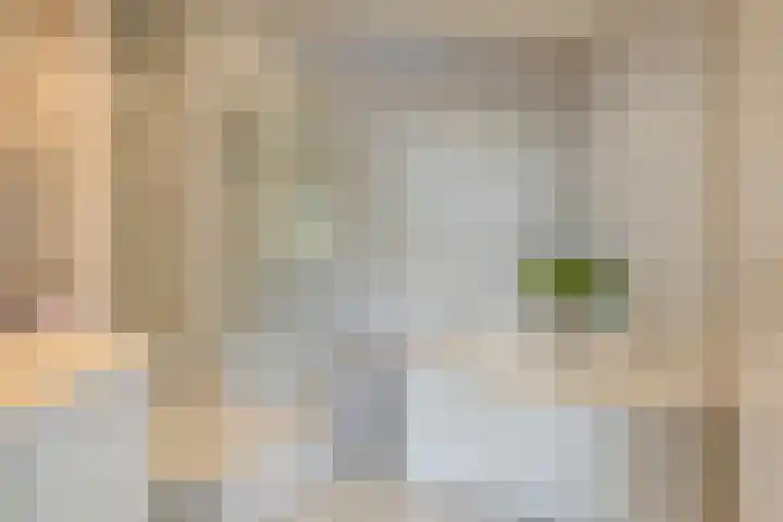 Boschdijk 590 Eindhoven thumbnail 4