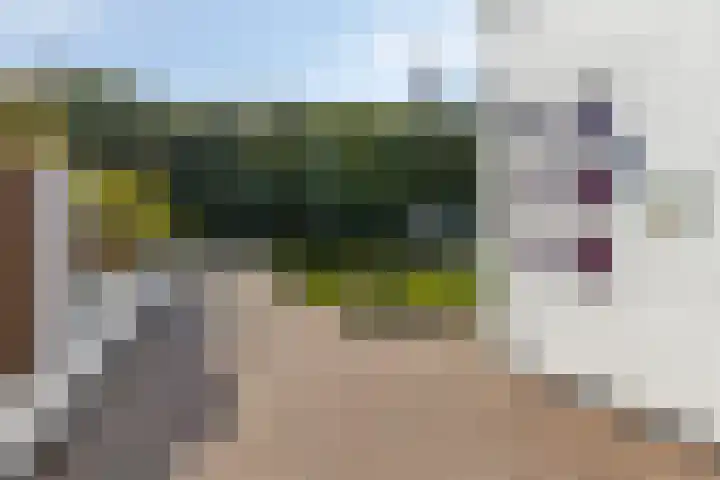 Boschdijk 590 Eindhoven thumbnail 9