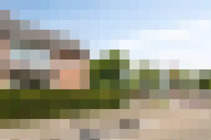 Boschdijk 878 Eindhoven thumbnail 10