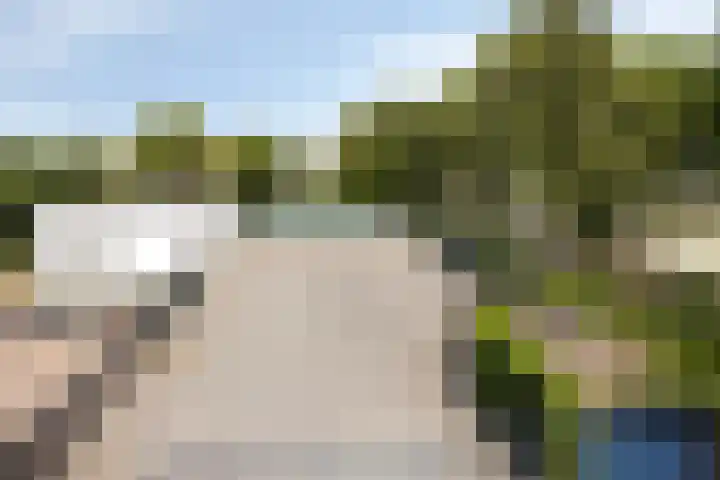 Boschdijk 878 Eindhoven thumbnail 6