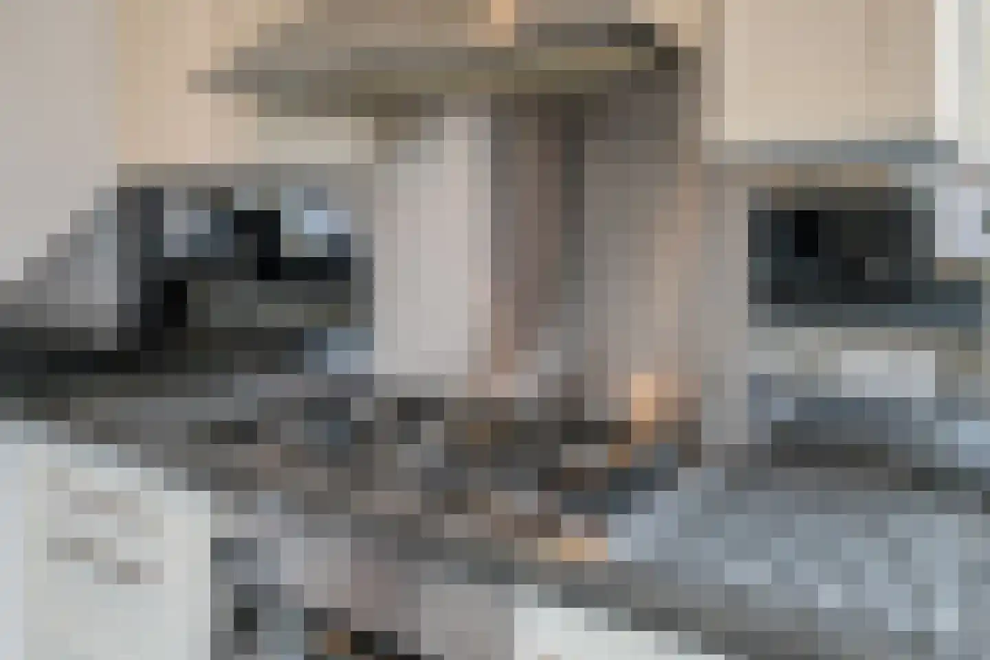 Boschdijk 926 Eindhoven thumbnail 23