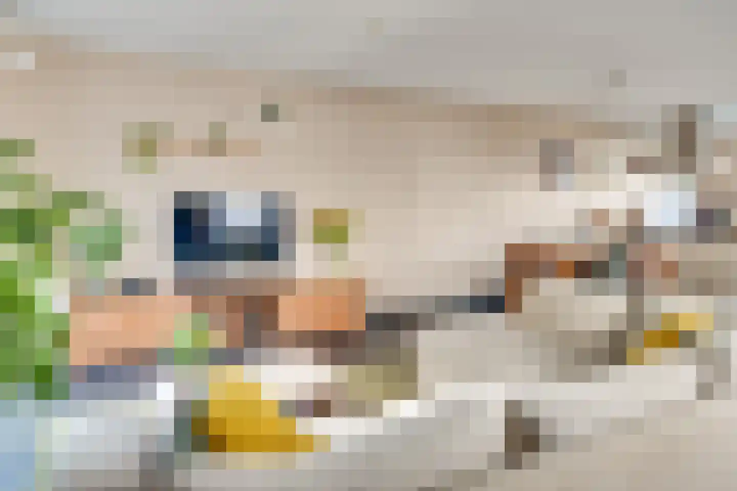 Boschhoeve 7 Nuenen thumbnail 10