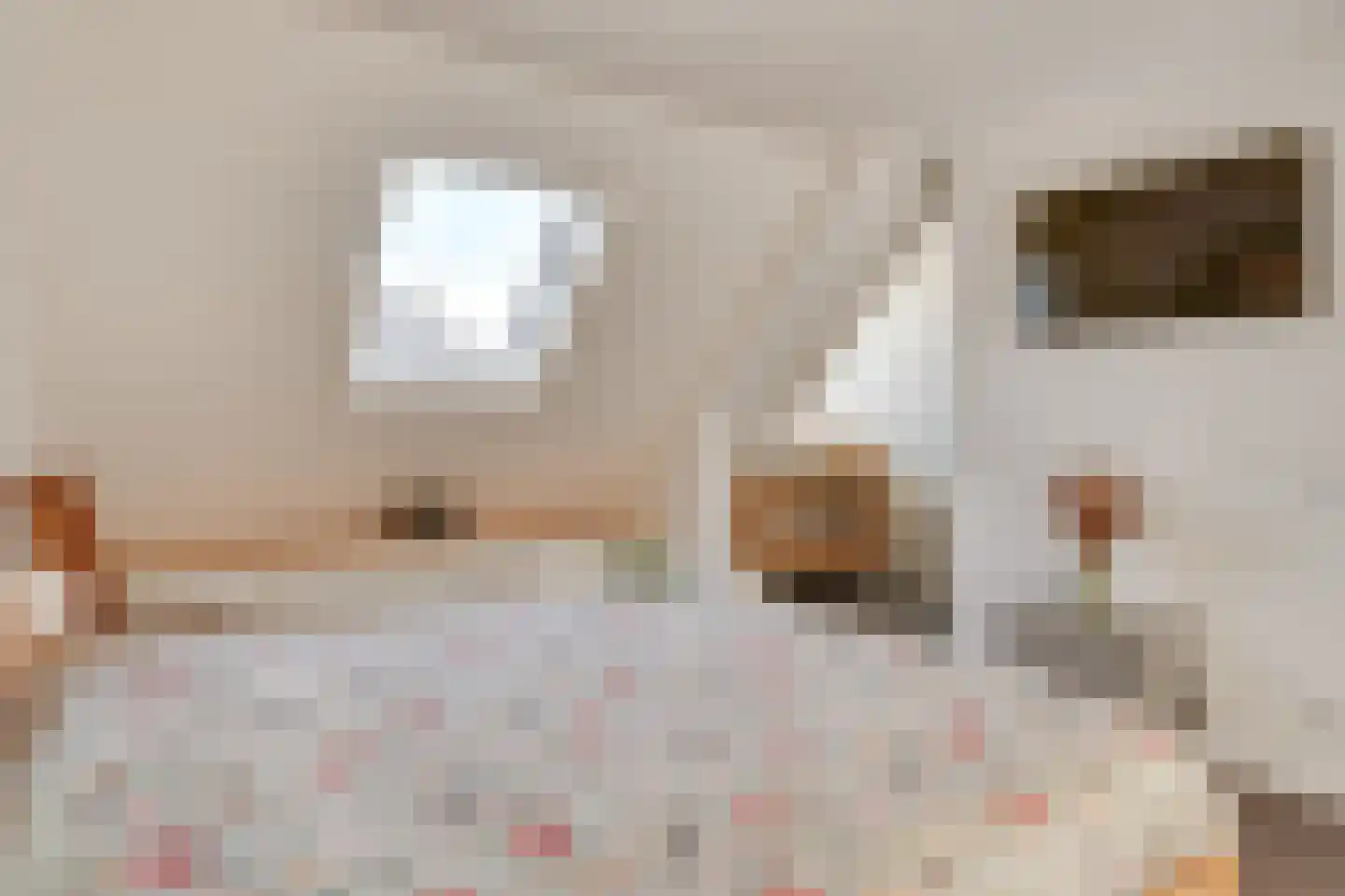 Boschhoeve 7 Nuenen thumbnail 41