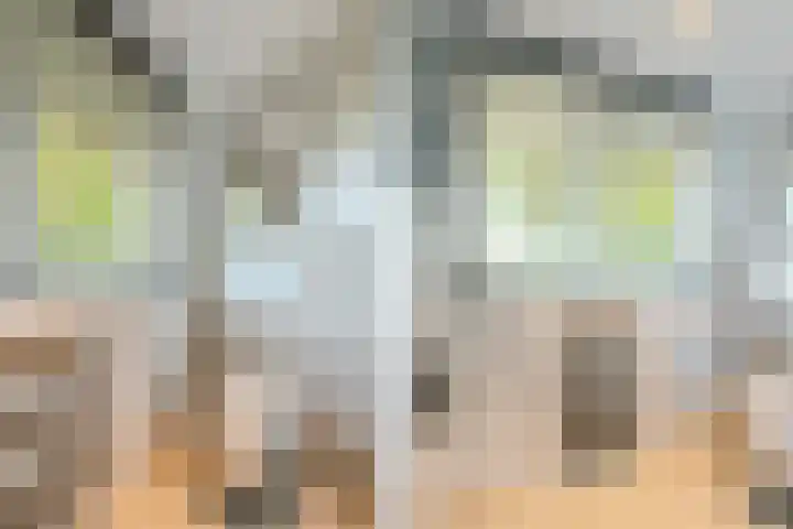 Boschhoven 9 Leende thumbnail 33