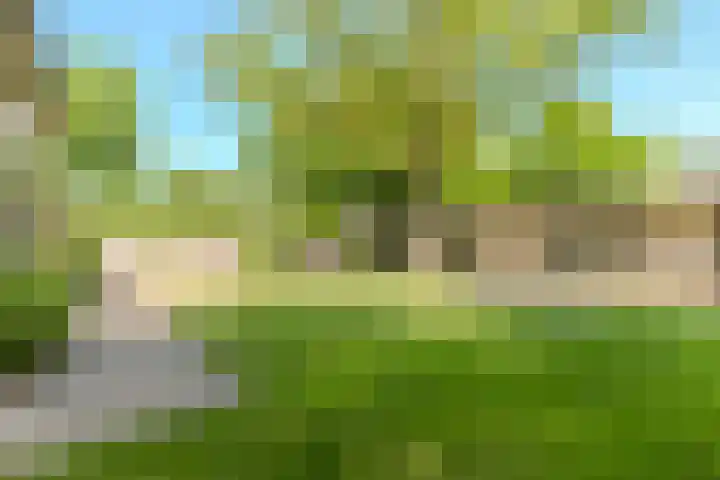 Boschhoven 9 Leende thumbnail 35