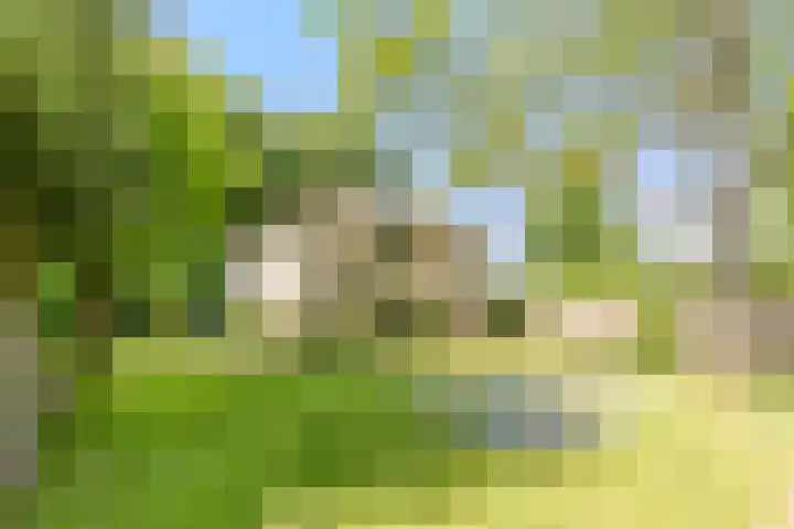 Boschhoven 9 Leende thumbnail 36
