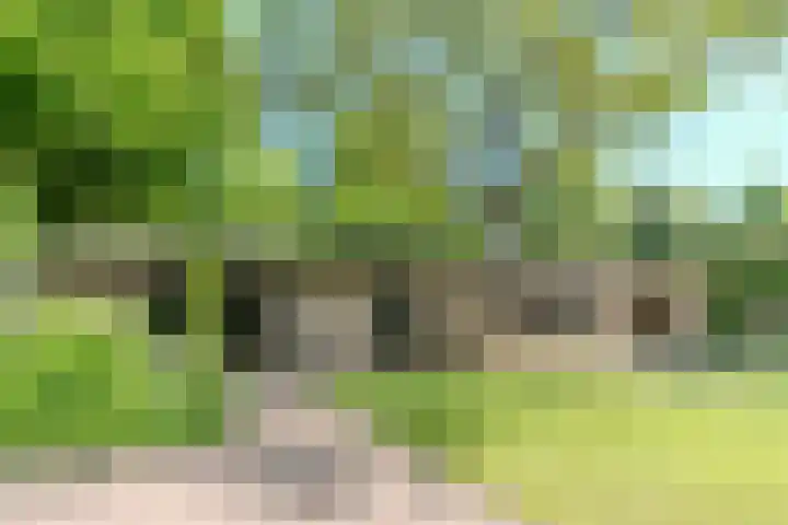 Boschhoven 9 Leende thumbnail 41