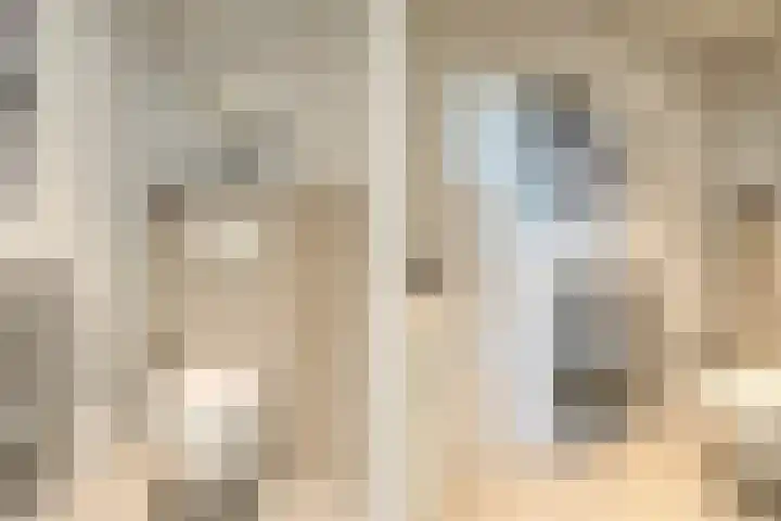 Boschhoven 9 Leende thumbnail 6