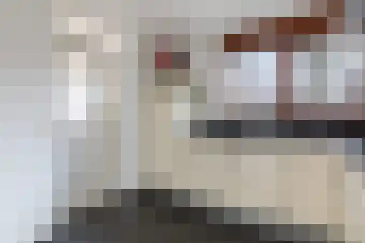 Boschlaan 45 Maasbree thumbnail 11