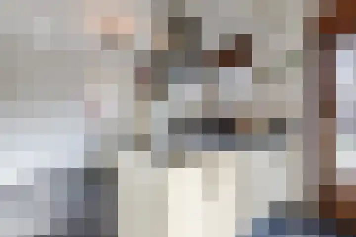 Boschlaan 45 Maasbree thumbnail 13