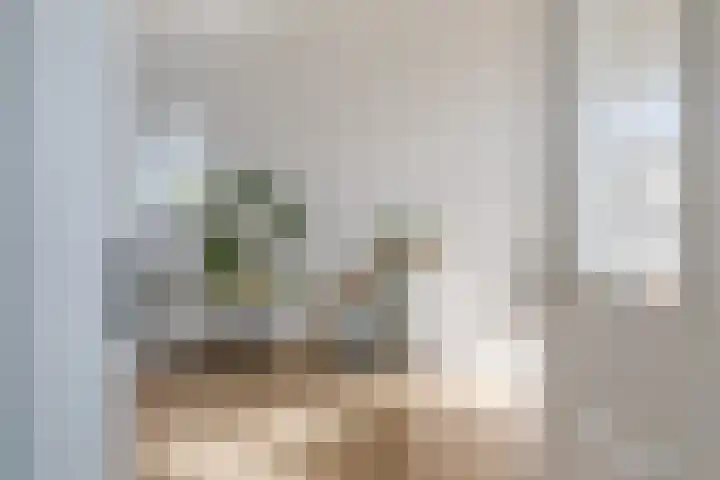 Boschlaan 45 Maasbree thumbnail 14